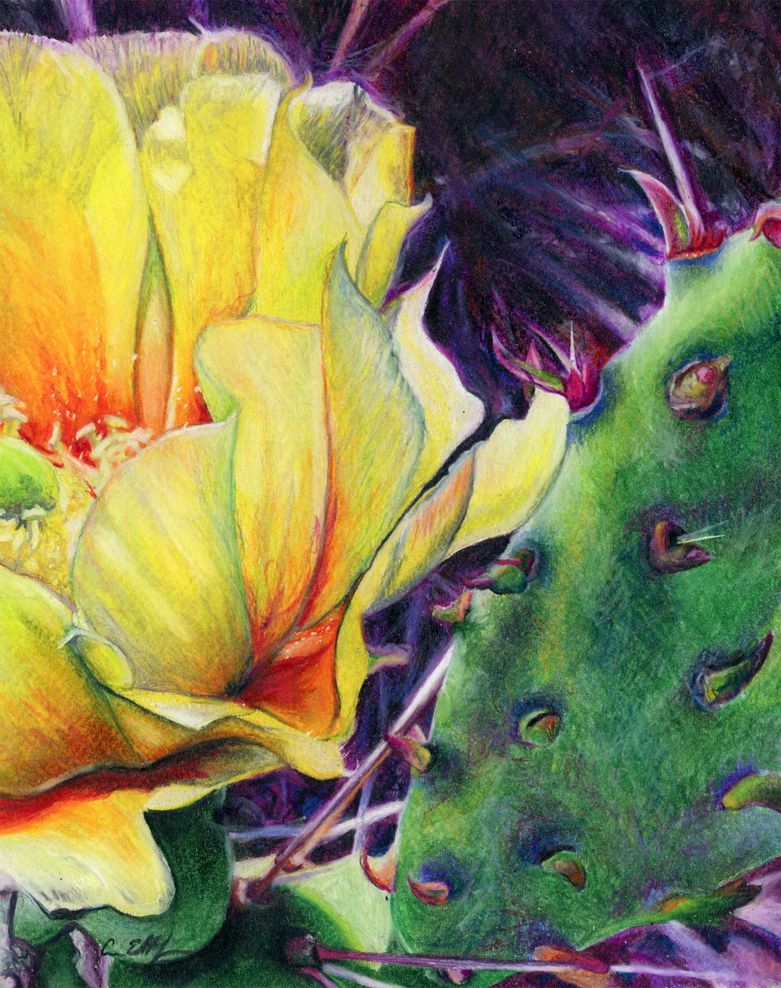 "Beauty and the Beast", 8" x 10", colored pencil
