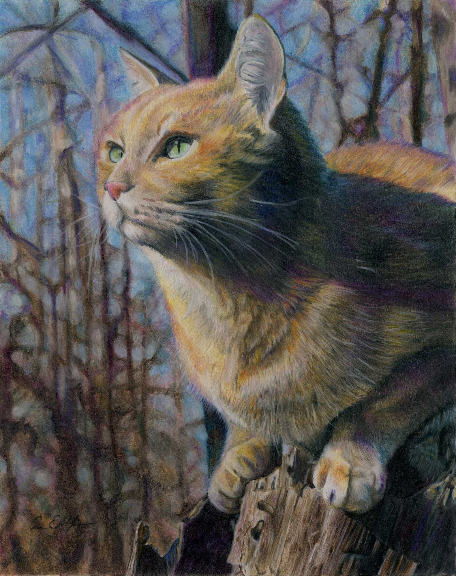 Catbird Seat NFS - "Catbird Seat", 11" x 14", colored pencil