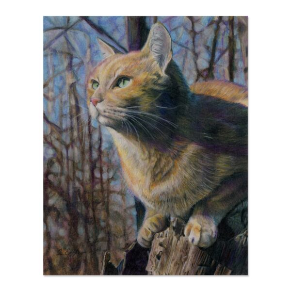 Catbird Seat - Art Print