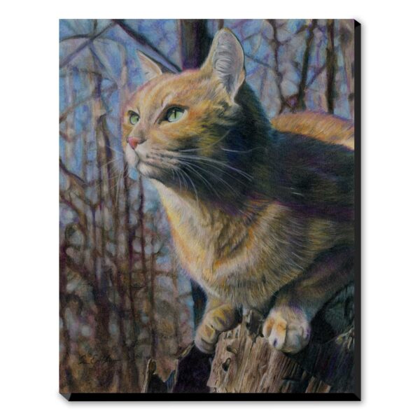 Catbird Seat - Art Print