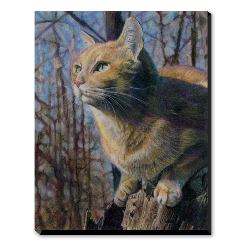 Catbird Seat - Art Print
