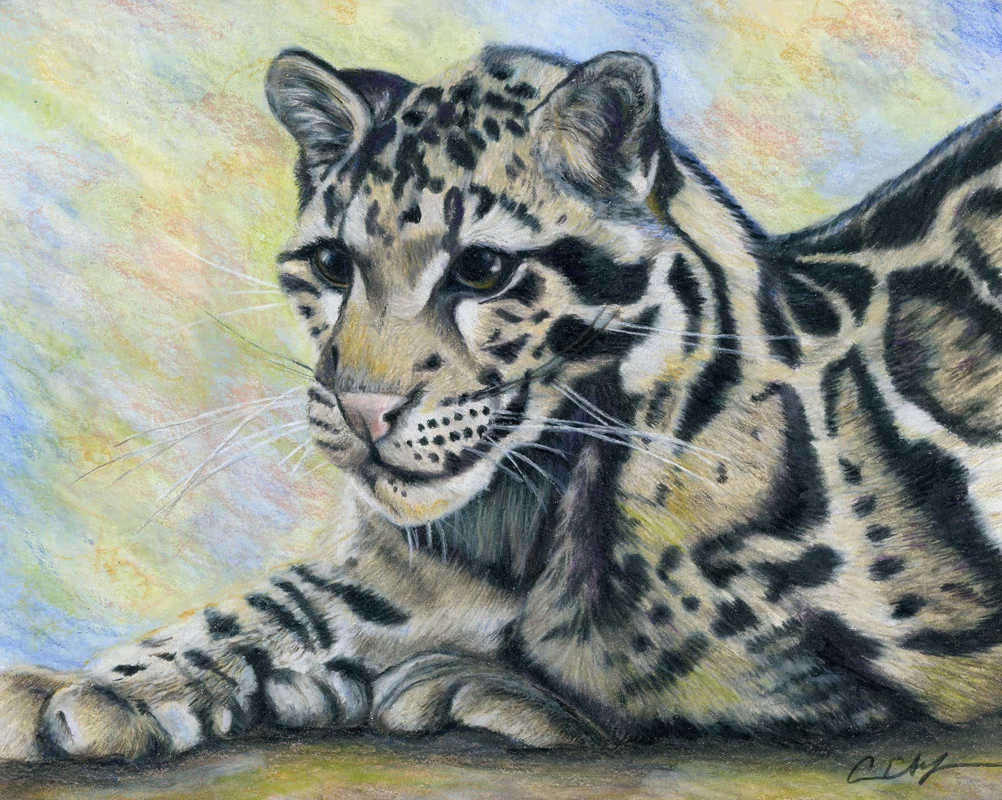 Clouded Leopard - Original Art