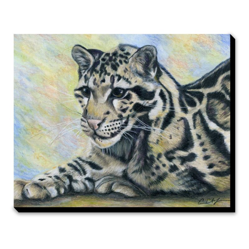 Clouded Leopard - Original Art - Image 3