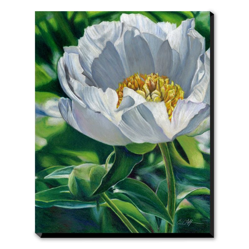 Glow - Art Print