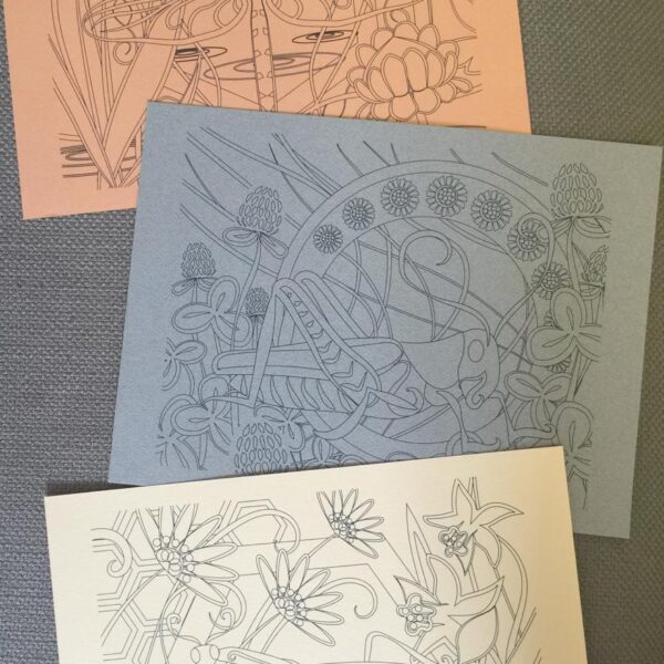 Garden Insects Coloring Book