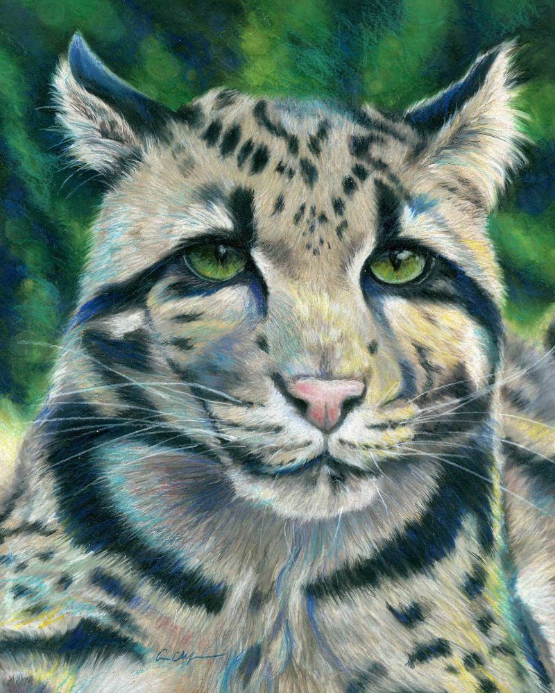 "Jaded", 11" x 14", colored pencil