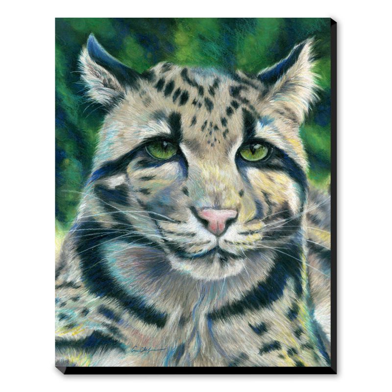 Jaded - Art Print