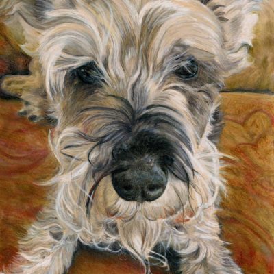 SOLD - "Look at Me", 8" x 10", colored pencil