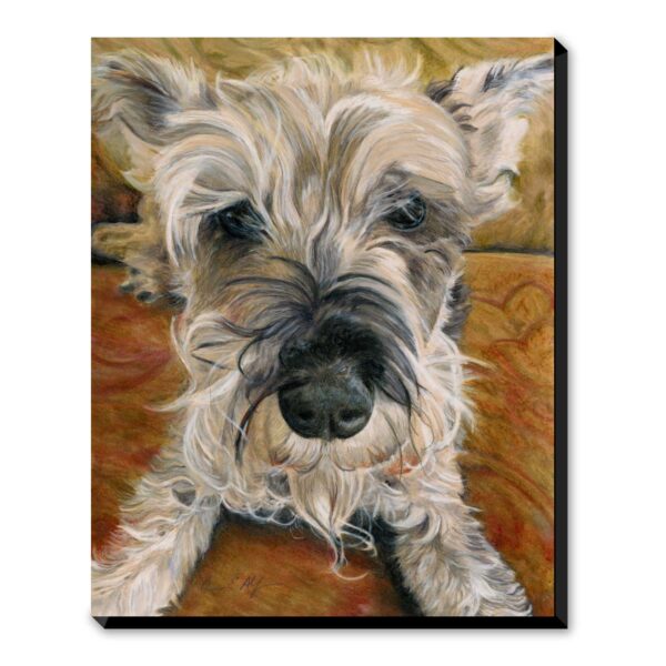 Look at Me - Art Print