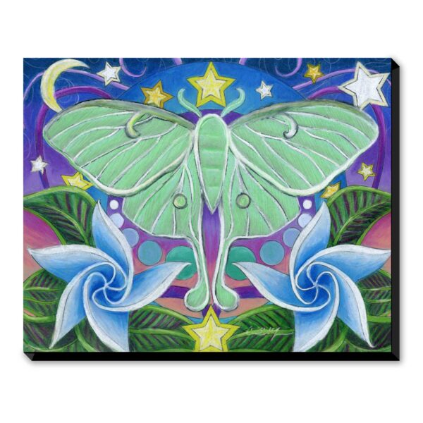 Luna Moth - Art Print