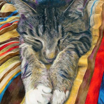 SOLD - "Mellow", 11" x 14", colored pencil
