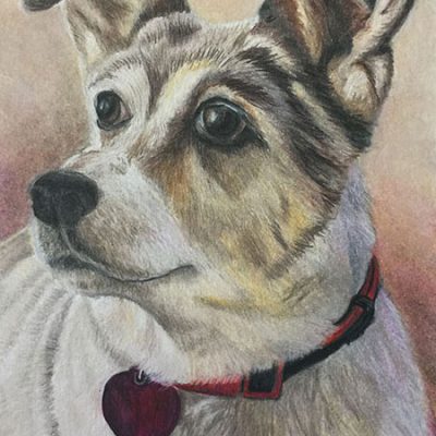 SOLD - "Molly", 5" x 7", colored pencil