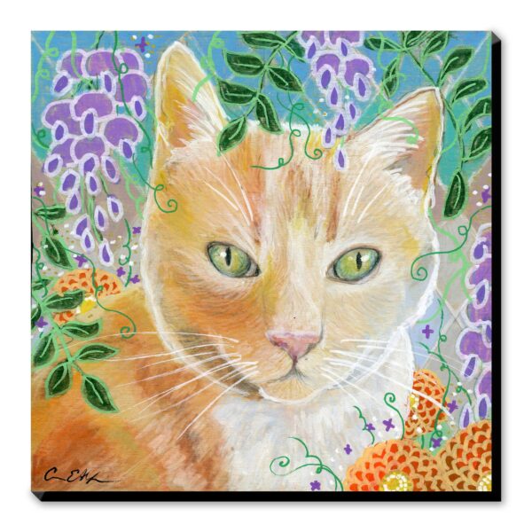 Orange Tabby and Wisteria - Art Print