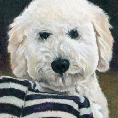 SOLD - "Percy", 8" x 10", colored pencil