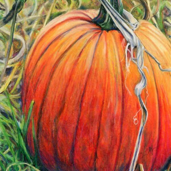 "Pick Me", 8" x 10", colored pencil
