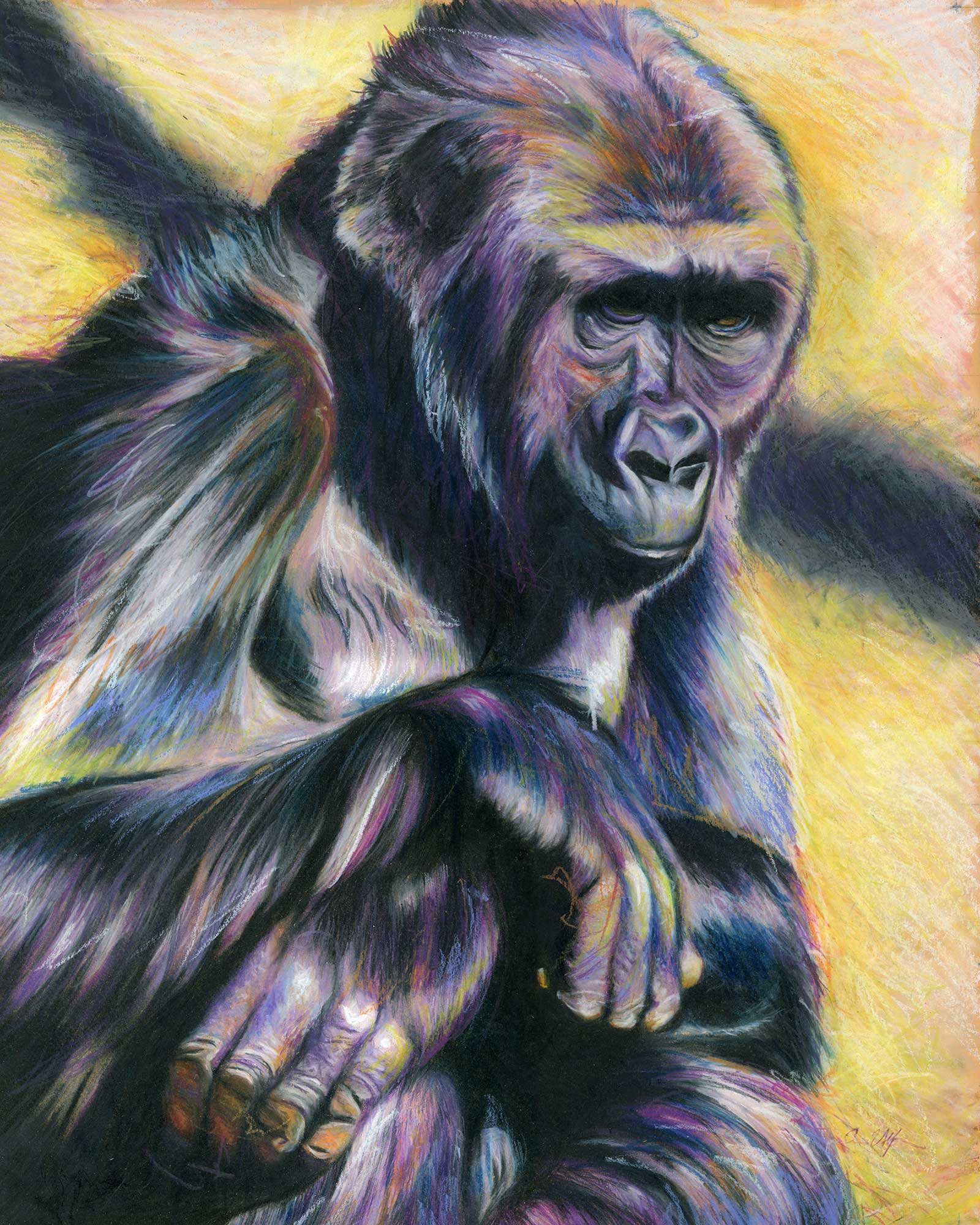 "Pondering", 16" x 20", colored pencil