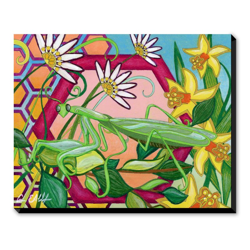 Praying Mantis - Art Print