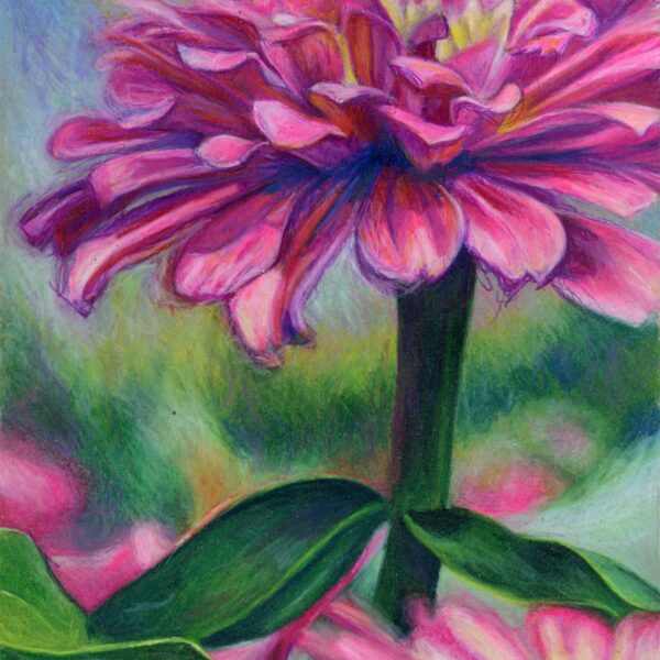 "Pretty in Pink", 8" x 10", colored pencil
