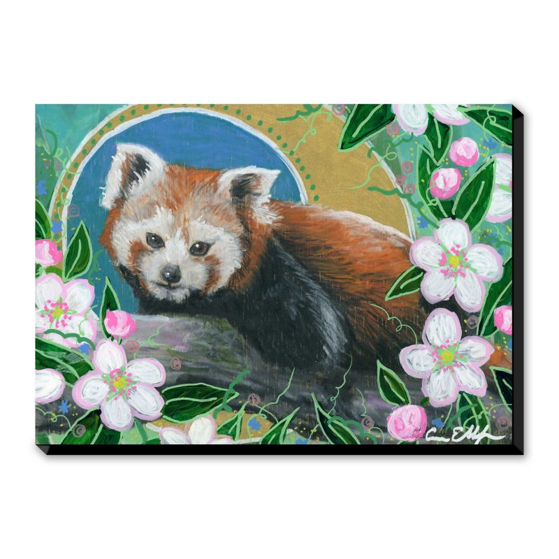 Red Panda in Apple Blossoms - Art Print