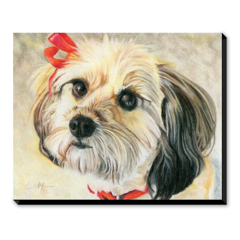 Red Ribbon - Art Print