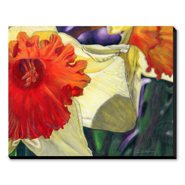 Spotlight - Art Print