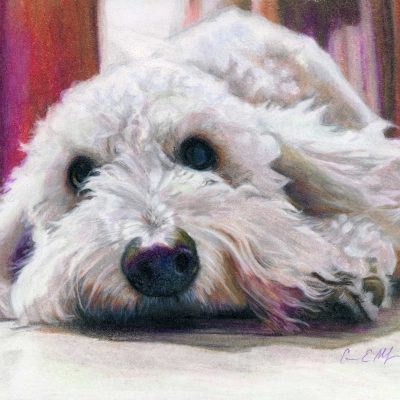 SOLD - "Those Eyes", 8" x 10" colored pencil