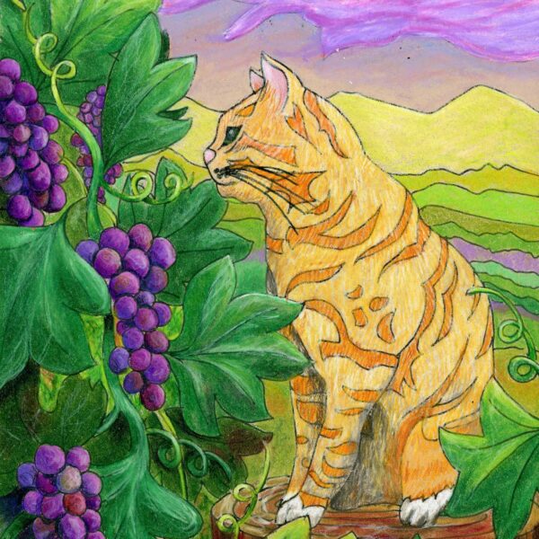 "Vineyard Tabby", 8" x 10", mixed media
