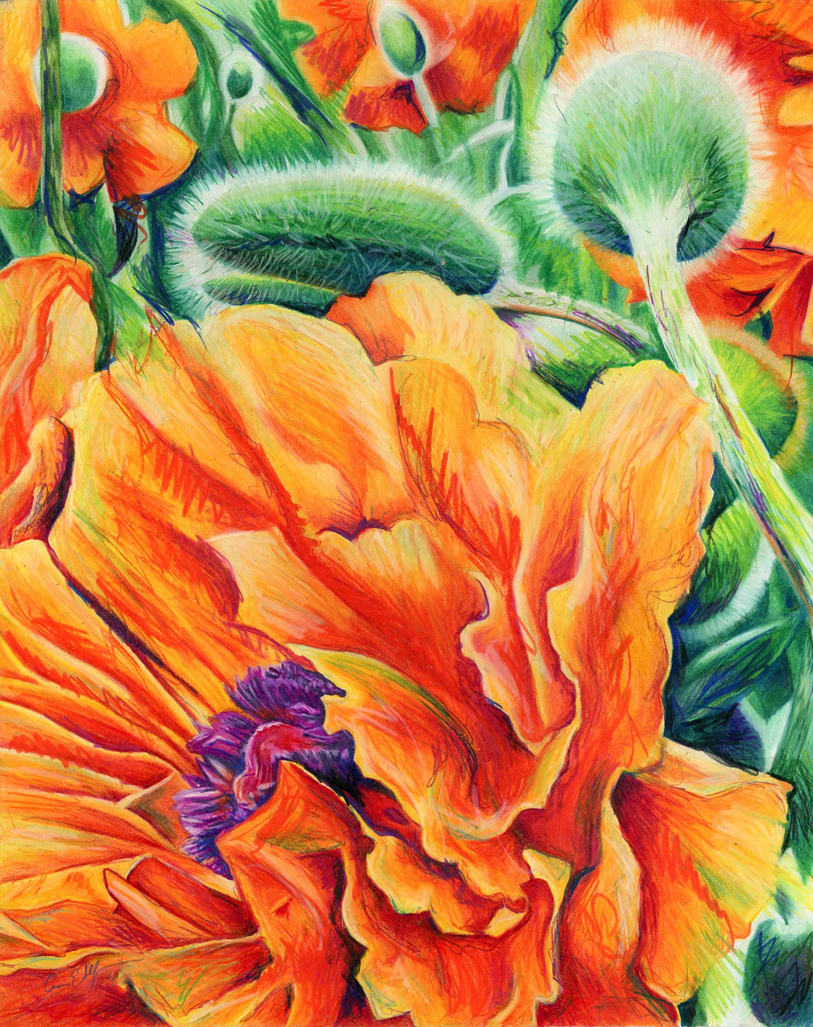 "Warm Breeze", 16" x 20", colored pencil