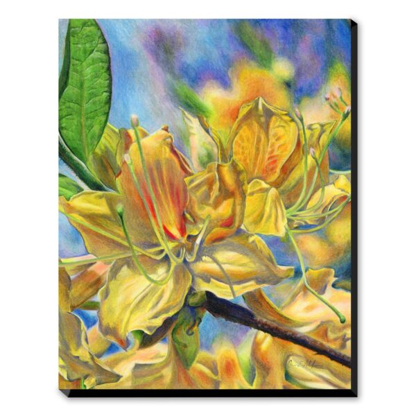 Warm Welcome - Art Print