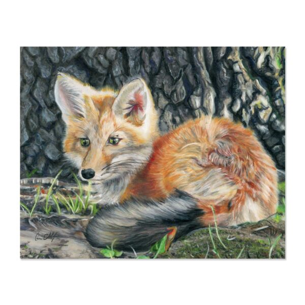 Warmth - Art Print