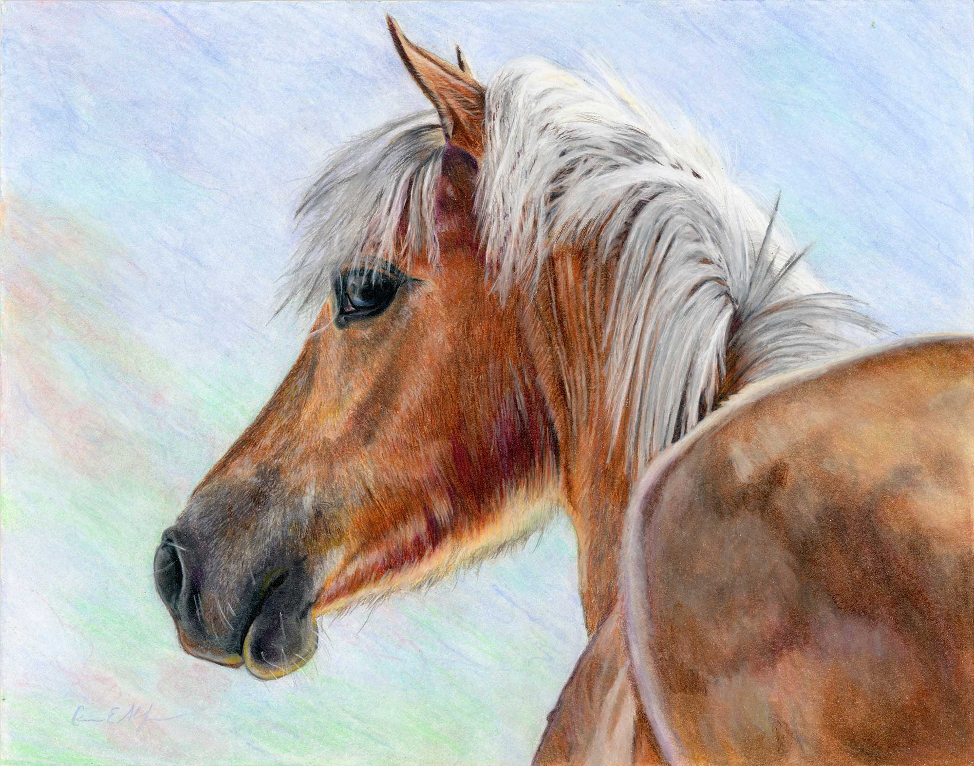 "Watchful", 11" x 14", colored pencil 