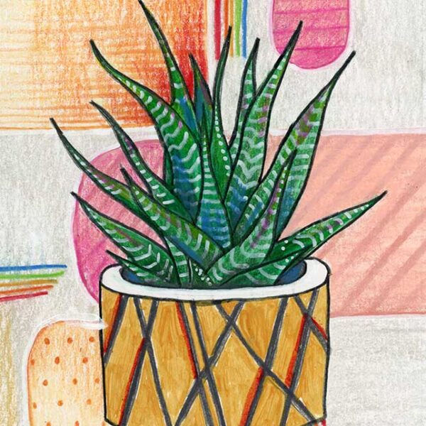 Succulent #2, 5" x 7", mixed media