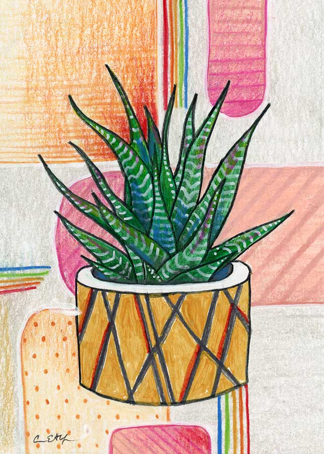 Succulent #2, 5" x 7", mixed media