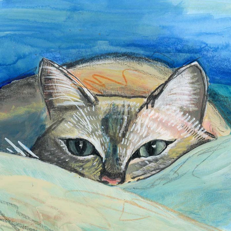 Nap Attack, 6" x 6", mixed media