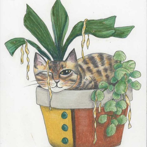 I Was Sleeping, 8" x 10", colored pencil