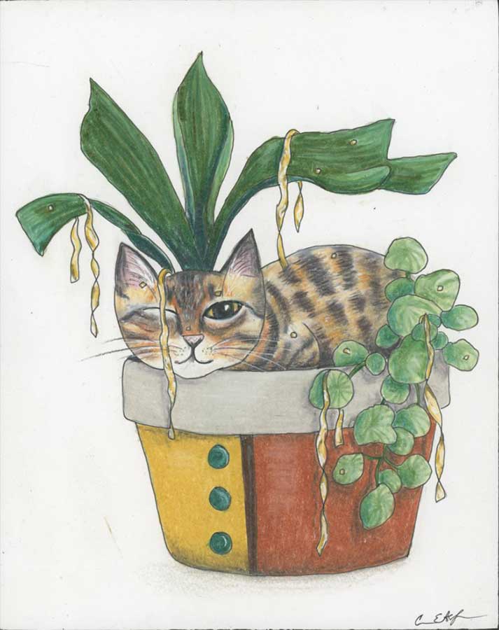 I Was Sleeping, 8" x 10", colored pencil
