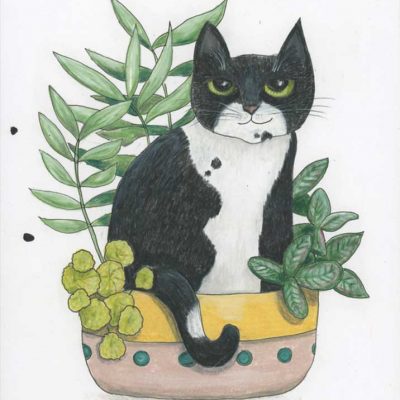 SOLD - Just Watch Me, 8" x 10", colored pencil