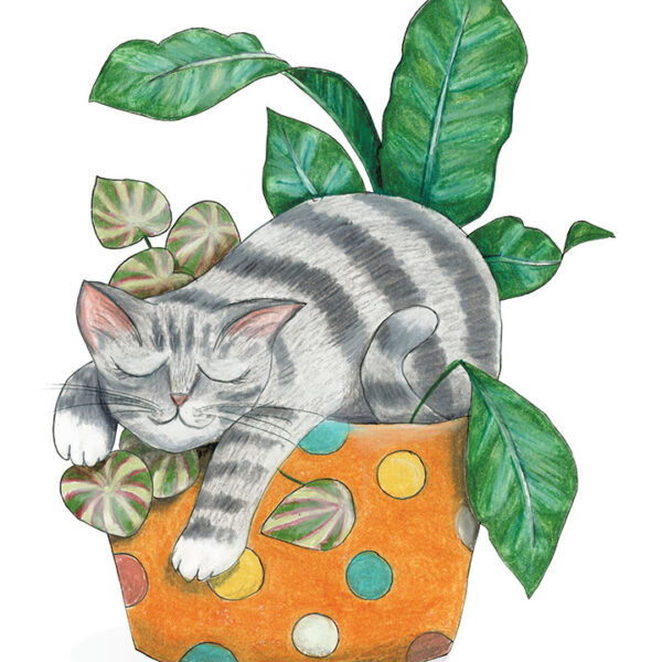Zonked - Art Print
