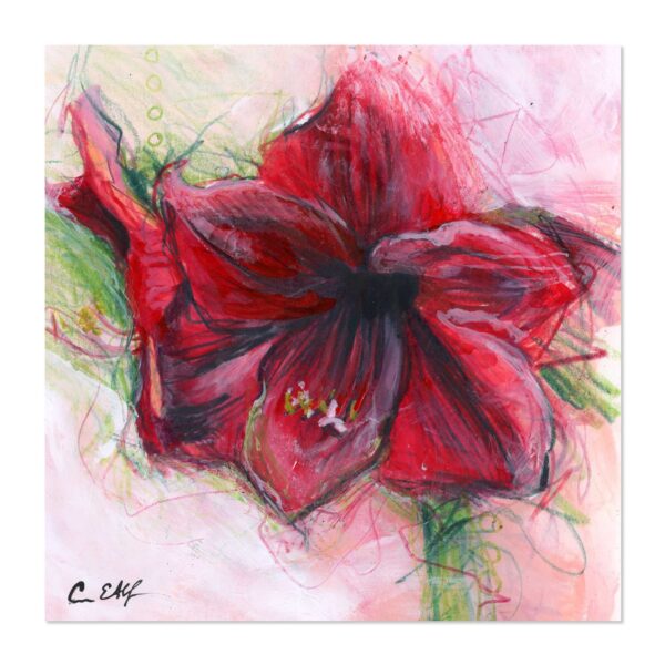 Amaryllis - Art Print
