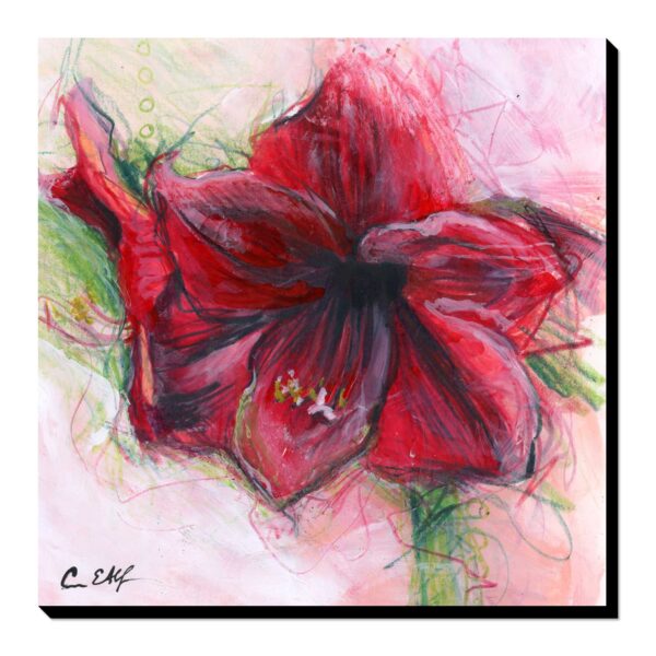 Amaryllis - Art Print