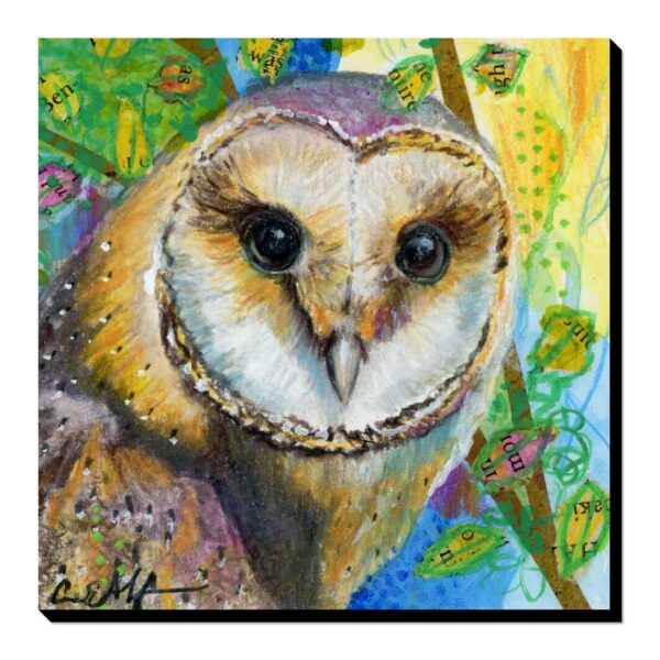 Barn Owl Gazing - Art Print