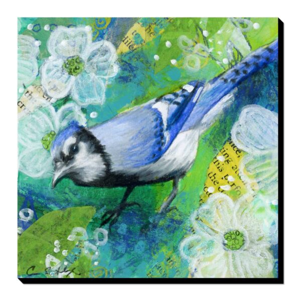 Curious Bluejay - Art Print