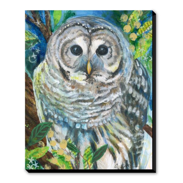 Spring Barred Owl - Art Print