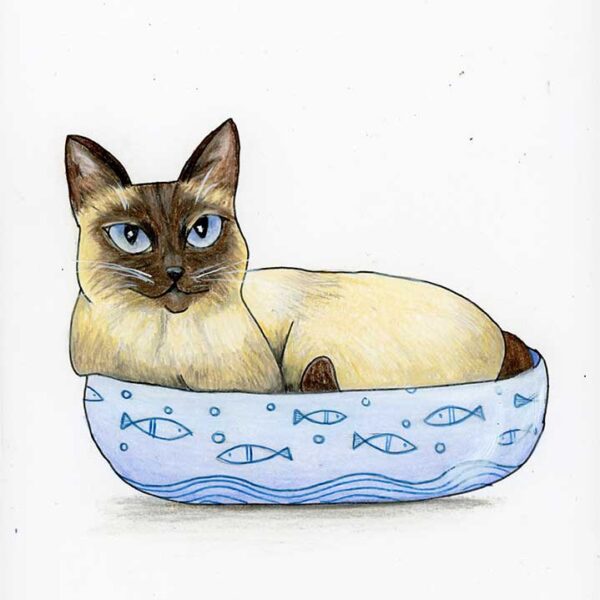 Feed Me or Nobody Sleeps Sassy Cat - Original Art