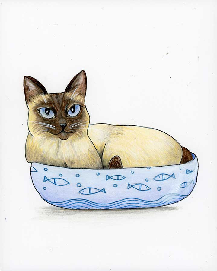 Feed Me or Nobody Sleeps Sassy Cat - Original Art