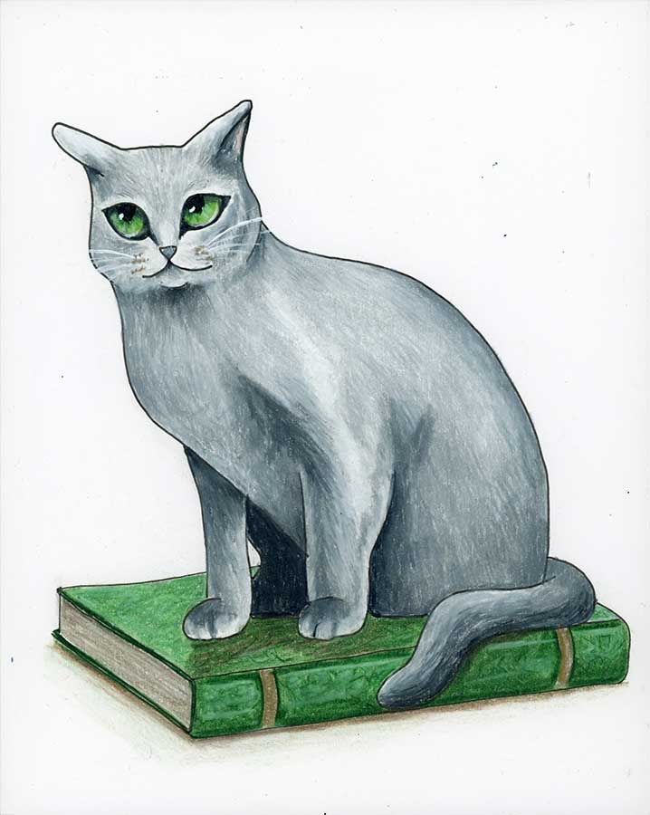Did I Just Roll My Eyes Outloud Again Sassy Cat - Original Art