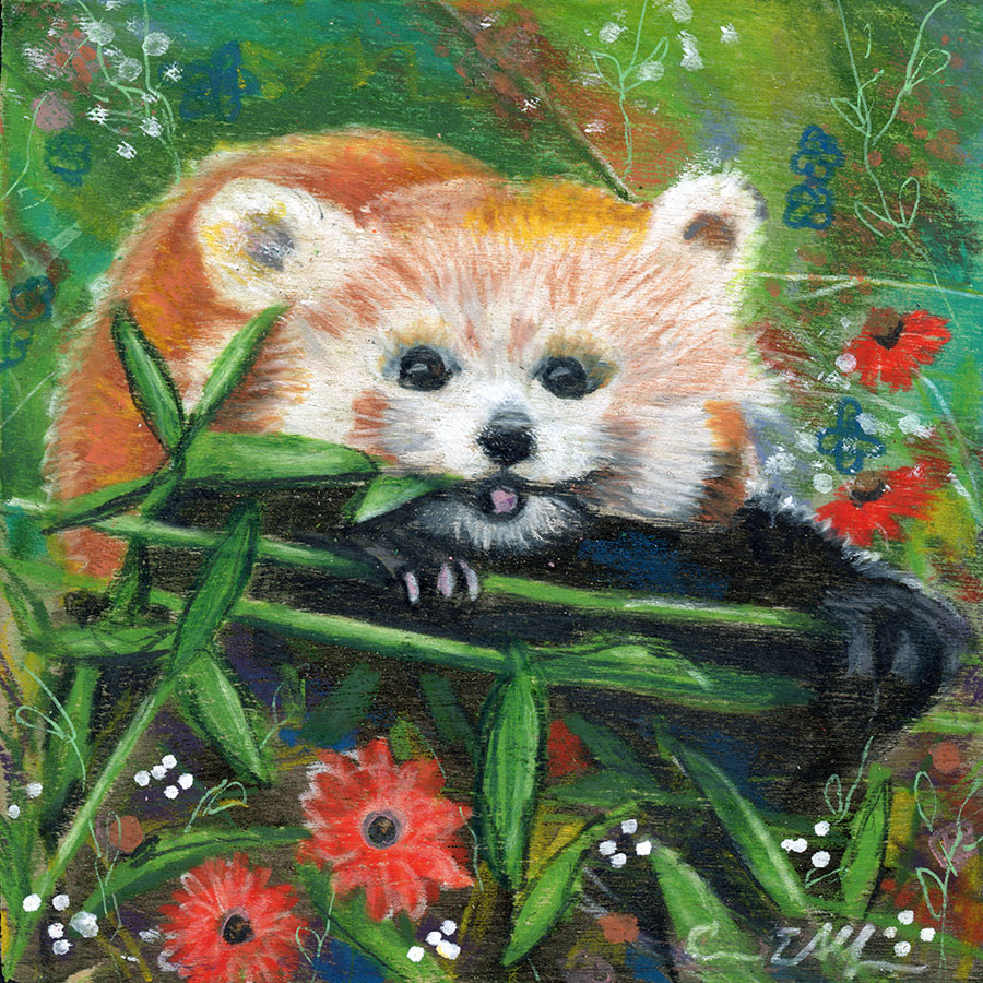 Red Panda Snacks, 4" x 4", mixed media