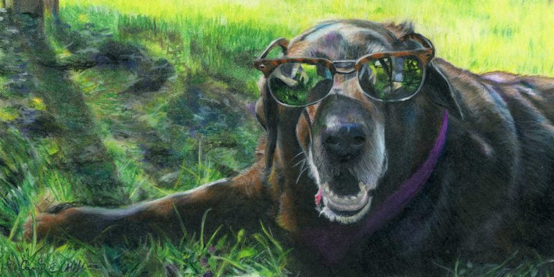SOLD - "Shades", colored pencil
