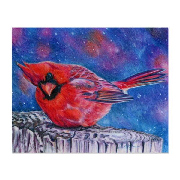Cold Cardinal - Art Print