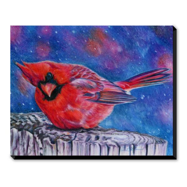 Cold Cardinal - Art Print